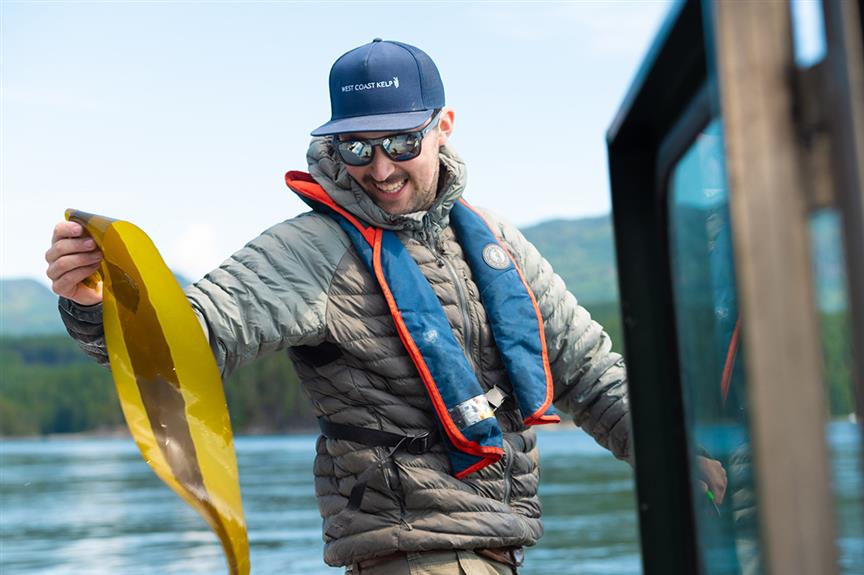 Tom Campbell collects bull kelp sori for green gravel production