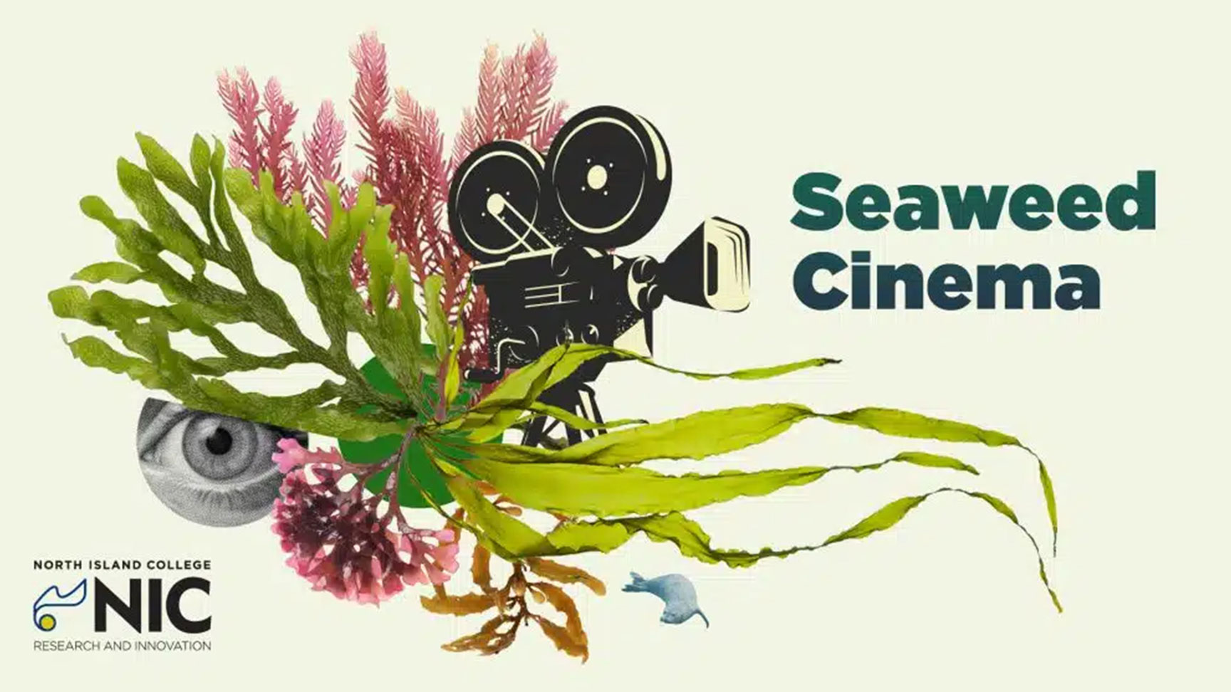 A poster for college's cinema night looking at seaweed research
