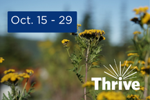 Thrive 2024: October 15-29